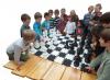 Demo šachovnica +šachy+dáma